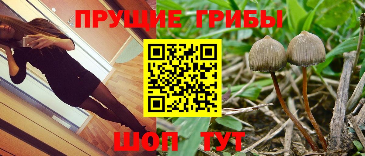 Галлюциногенные грибы Psilocybine cubensis  Галлюциногенные грибы MAGIC MUSHROOMS  Вход с VPN  Назрань 