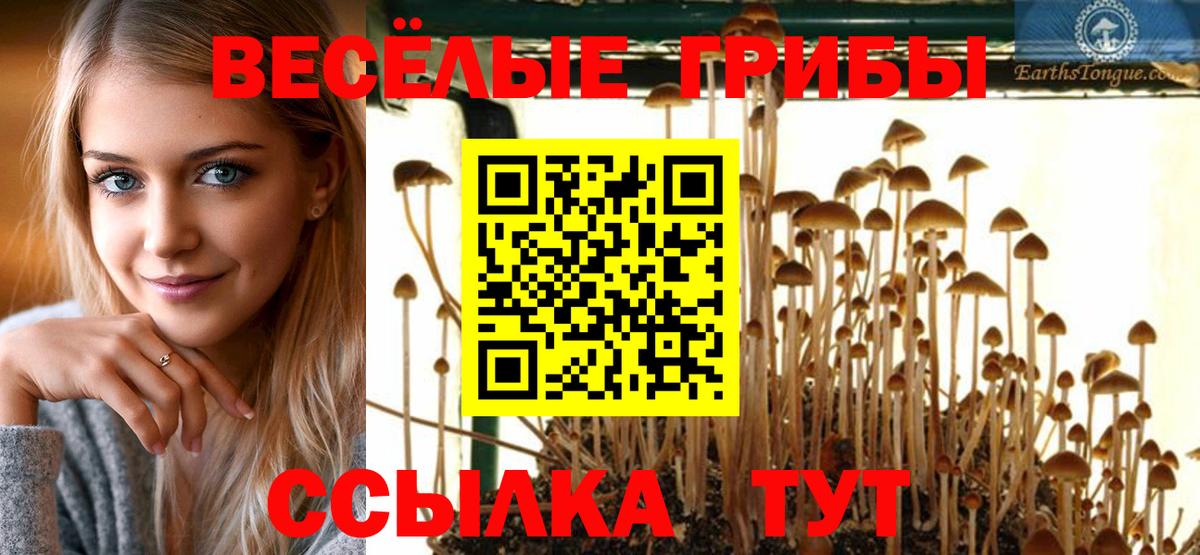 Псилоцибиновые грибы Psilocybine cubensis Назрань